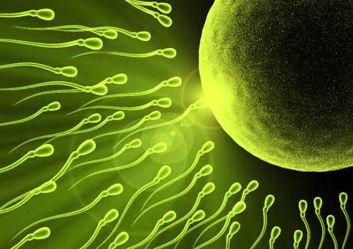 Wazifa For Male Infertility